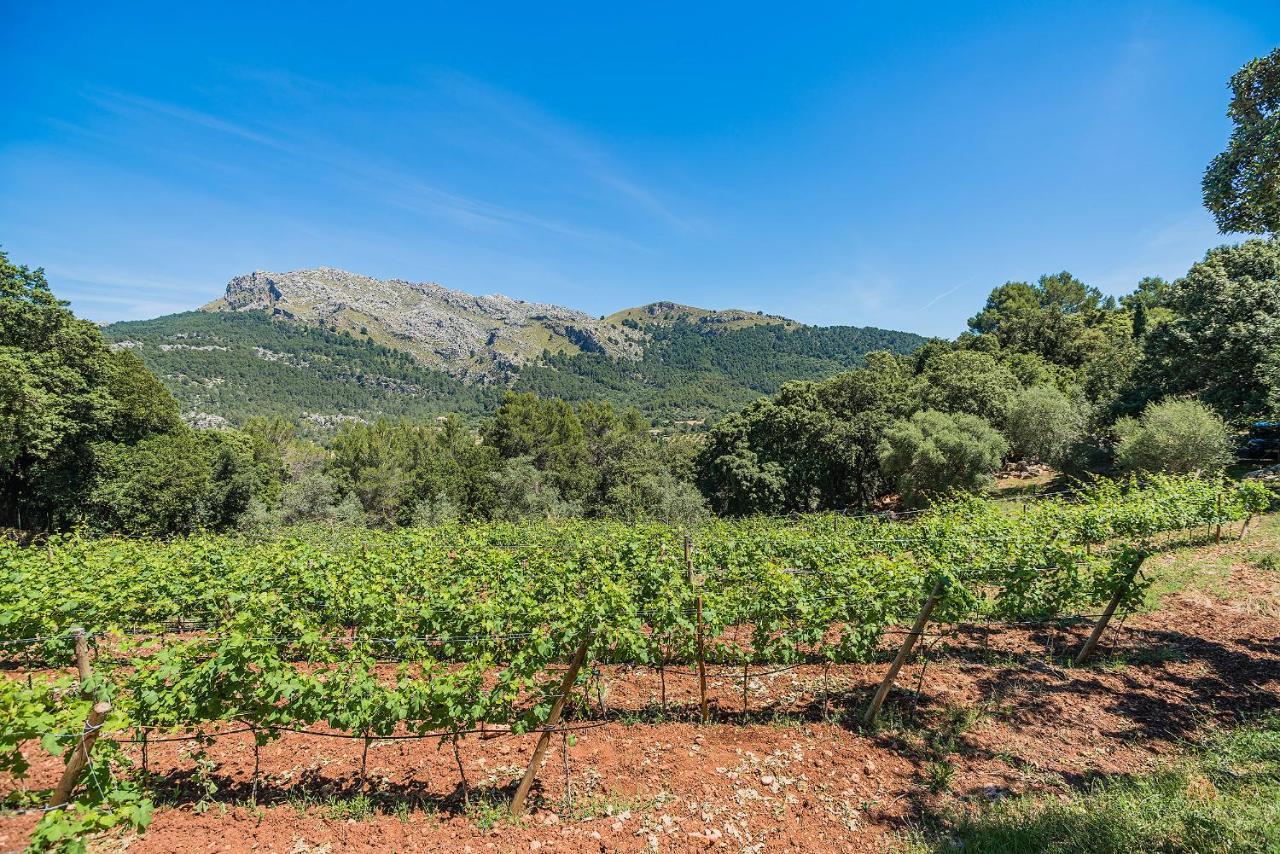 Villa Picassa à Pollença Extérieur photo